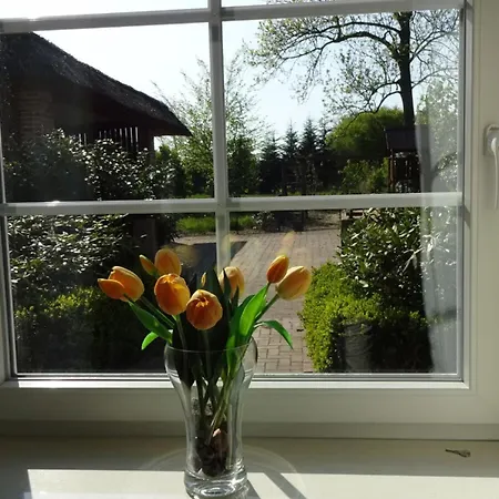 Apartment Felderblick Unten *